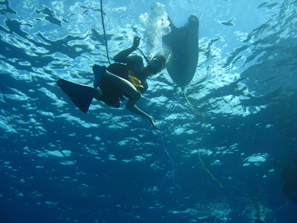 Molokini SNUBA divers