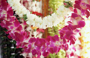 HAWAIIAN LEI IN CROCHET - Myriah&apos;s Polynesian Bazaar - Purveyors