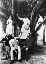 First Banyan Tree in Hawaii